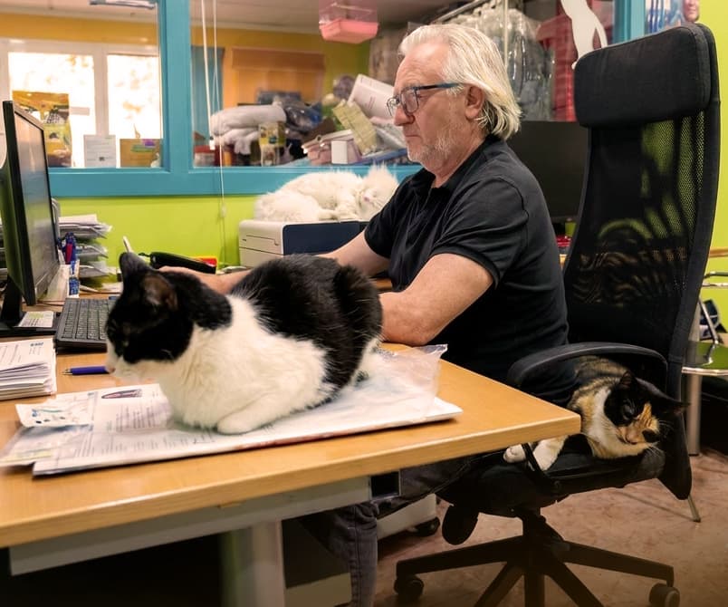 Urbano Herrero Sánchez, veterinario fundador de NuestroComfort